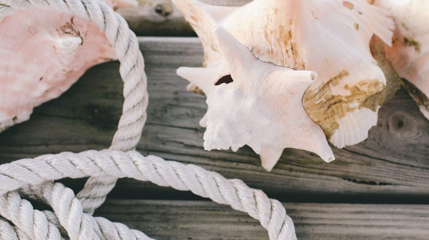 olivia-hutcherson-eoT-yzFs-_I-unsplash
